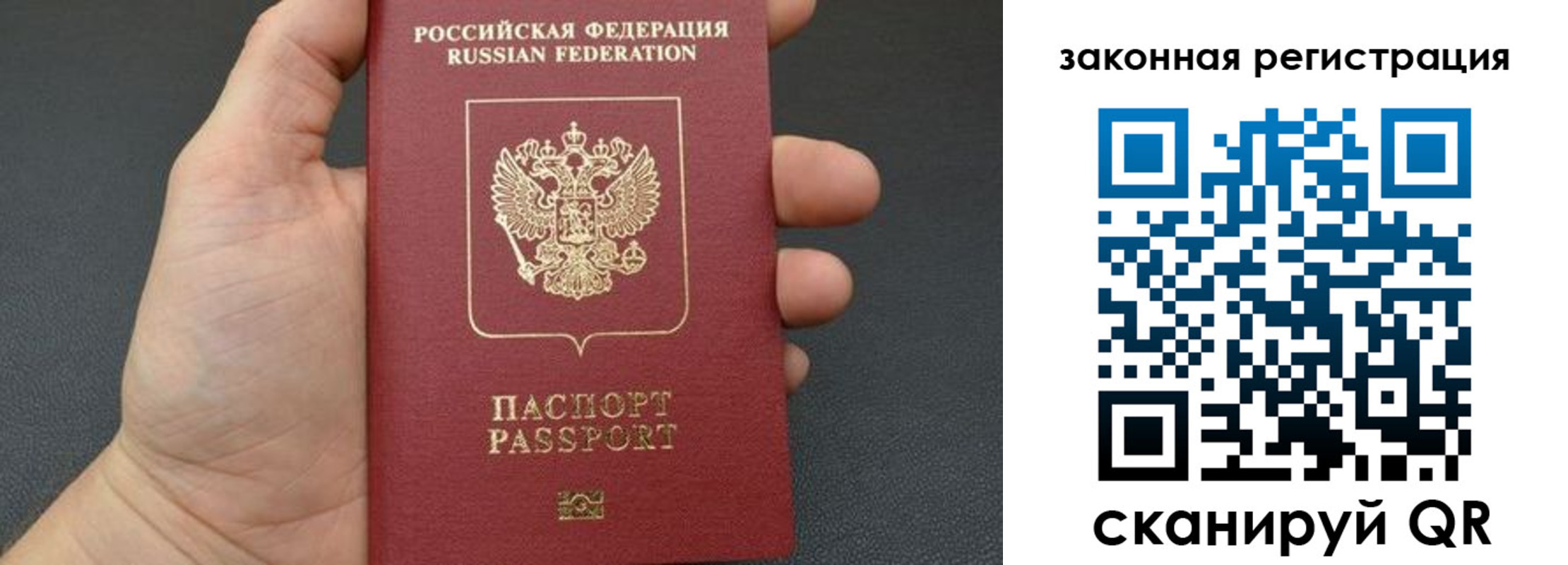 прописка 2025 в Братске